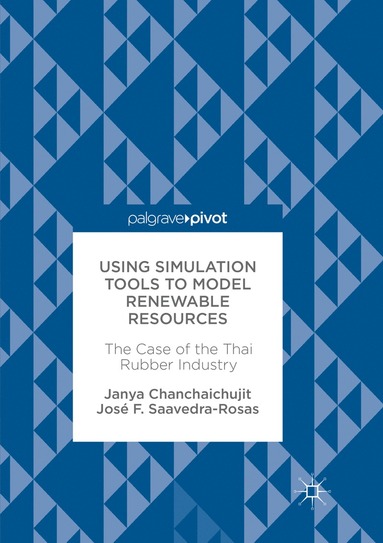 bokomslag Using Simulation Tools to Model Renewable Resources