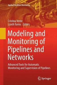 bokomslag Modeling and Monitoring of Pipelines and Networks