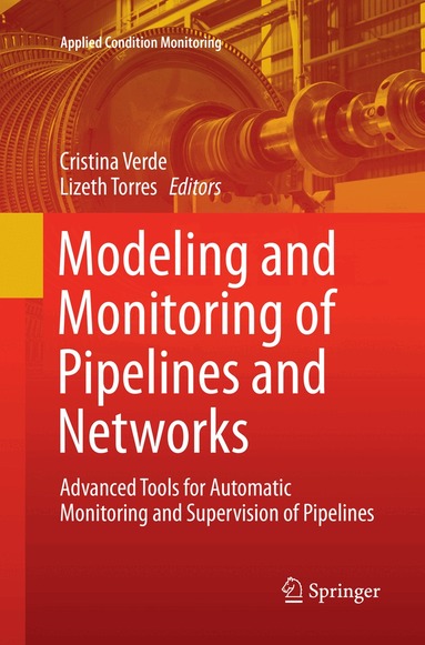 Cristina Verde, Lizeth Torres - Modeling and Monitoring of Pipelines and Networks, Häftad