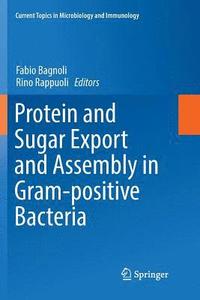 bokomslag Protein and Sugar Export and Assembly in Gram-positive Bacteria