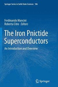 bokomslag The Iron Pnictide Superconductors