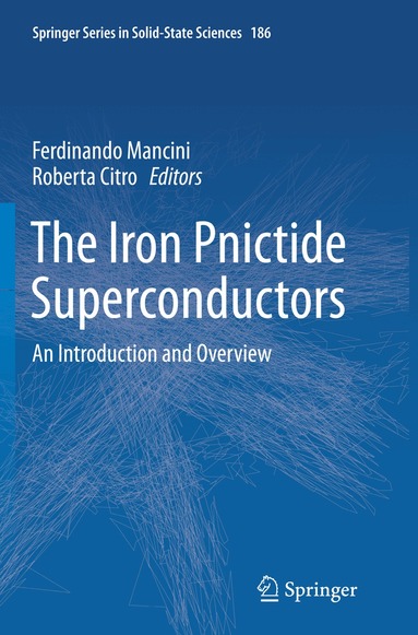 Ferdinando Mancini, Roberta Citro - Iron Pnictide Superconductors, Häftad