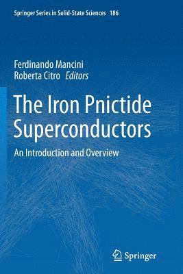 Ferdinando Mancini, Roberta Citro - Iron Pnictide Superconductors, Häftad