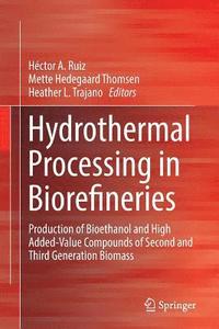 bokomslag Hydrothermal Processing in Biorefineries