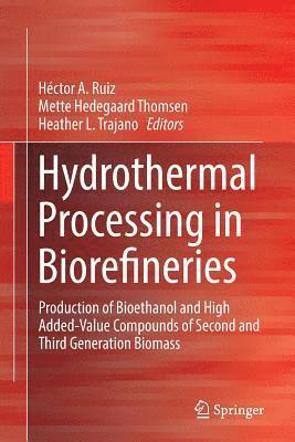 bokomslag Hydrothermal Processing in Biorefineries