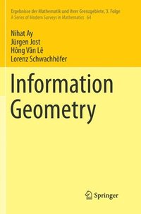 bokomslag Information Geometry