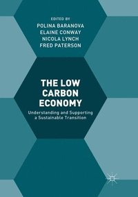 bokomslag The Low Carbon Economy