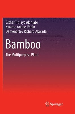 Bamboo 1