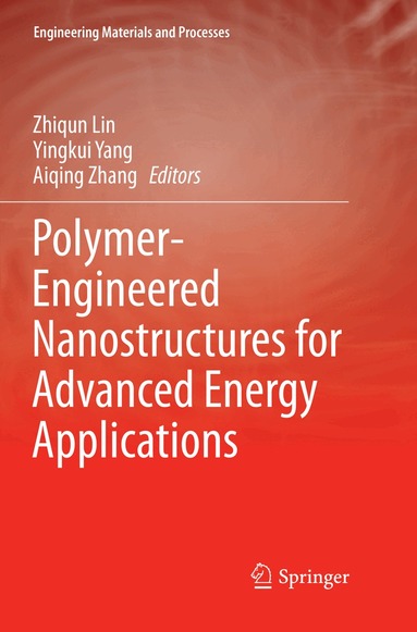 Zhiqun Lin, Yingkui Yang, Aiqing Zhang - Polymer-Engineered Nanostructures for Advanced Energy Applications, Häftad