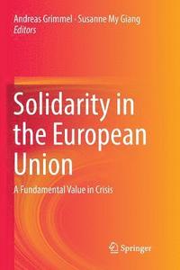 bokomslag Solidarity in the European Union