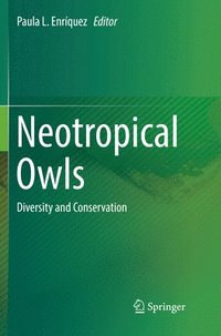 bokomslag Neotropical Owls