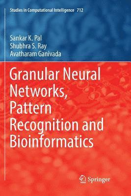 bokomslag Granular Neural Networks, Pattern Recognition and Bioinformatics