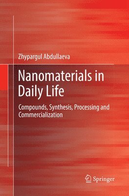 bokomslag Nanomaterials in Daily Life