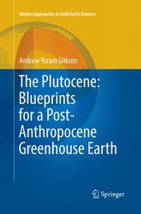 bokomslag The Plutocene: Blueprints for a Post-Anthropocene Greenhouse Earth
