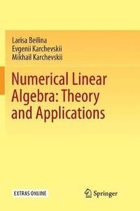 bokomslag Numerical Linear Algebra: Theory and Applications