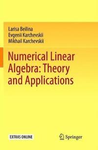 bokomslag Numerical Linear Algebra: Theory and Applications