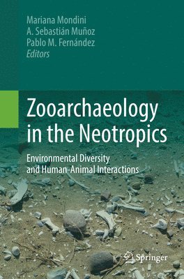 bokomslag Zooarchaeology in the Neotropics