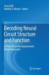 bokomslag Decoding Neural Circuit Structure and Function