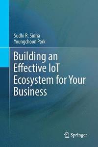 bokomslag Building an Effective IoT Ecosystem for Your Business