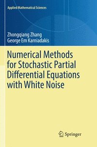 bokomslag Numerical Methods for Stochastic Partial Differential Equations with White Noise