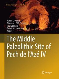bokomslag The Middle Paleolithic Site of Pech de l'Az IV