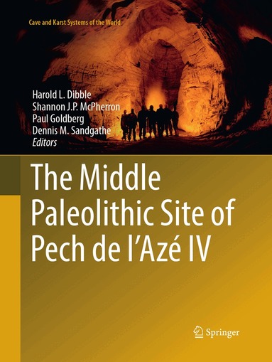 Harold L. Dibble, Shannon J. P. McPherron, Paul Goldberg, Dennis M. Sandgathe - Middle Paleolithic Site of Pech de l'Azé IV, Häftad