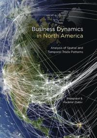 bokomslag Business Dynamics in North America