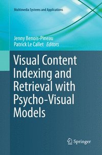bokomslag Visual Content Indexing and Retrieval with Psycho-Visual Models