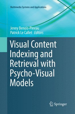 Visual Content Indexing and Retrieval with Psycho-Visual Models 1