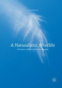 bokomslag A Naturalistic Afterlife