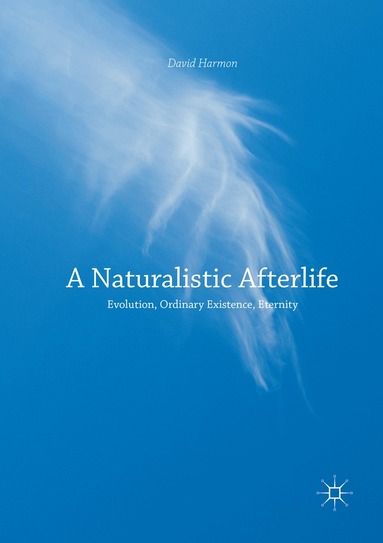 David Harmon - Naturalistic Afterlife, Häftad