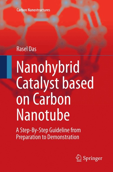 Rasel Das - Nanohybrid Catalyst based on Carbon Nanotube, Häftad