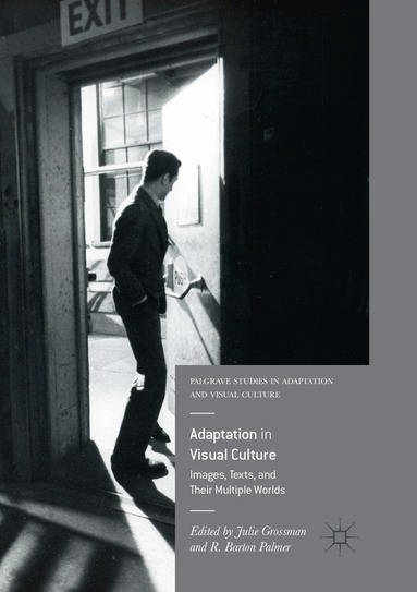Julie Grossman, R. Barton Palmer - Adaptation in Visual Culture, Häftad