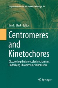 bokomslag Centromeres and Kinetochores