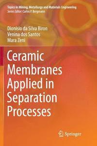 bokomslag Ceramic Membranes Applied in Separation Processes
