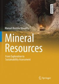 bokomslag Mineral Resources