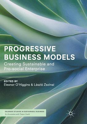Eleanor O'Higgins, László Zsolnai, Laszlo Zsolnai - Progressive Business Models, Häftad