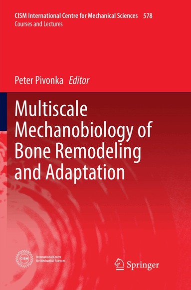 Peter Pivonka - Multiscale Mechanobiology of Bone Remodeling and Adaptation, Häftad