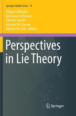 Perspectives in Lie Theory 1