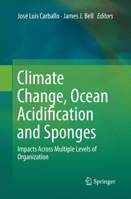 bokomslag Climate Change, Ocean Acidification and Sponges