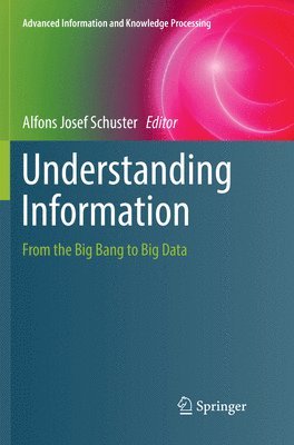 bokomslag Understanding Information