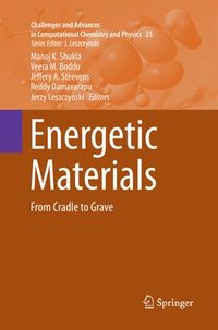bokomslag Energetic Materials