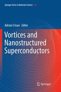 bokomslag Vortices and Nanostructured Superconductors