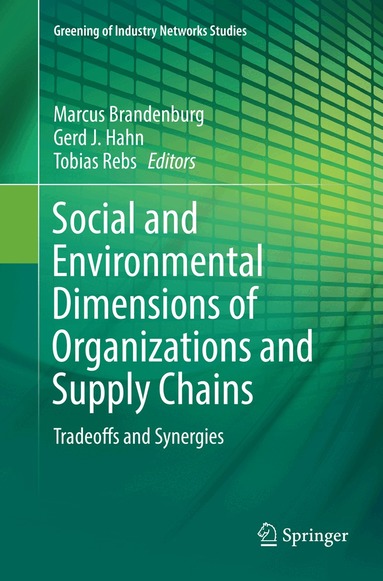 Marcus Brandenburg, Gerd J. Hahn, Tobias Rebs - Social and Environmental Dimensions of Organizations and Supply Chains, Häftad