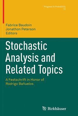 Fabrice Baudoin, Jonathon Peterson - Stochastic Analysis and Related Topics, Häftad