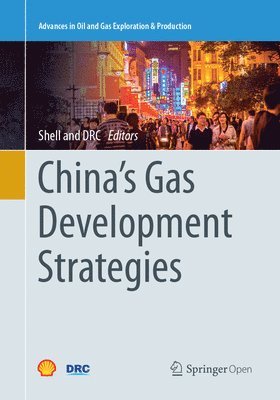 bokomslag China's Gas Development Strategies