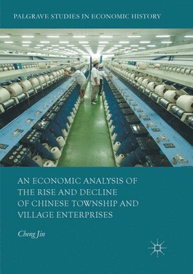 bokomslag An Economic Analysis of the Rise and Decline of Chinese Township and Village Enterprises