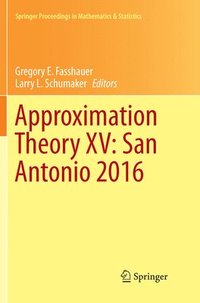 bokomslag Approximation Theory XV: San Antonio 2016