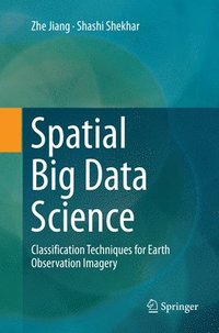 bokomslag Spatial Big Data Science