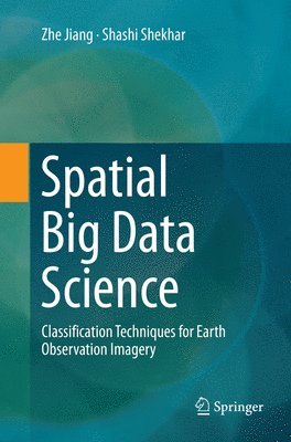 bokomslag Spatial Big Data Science